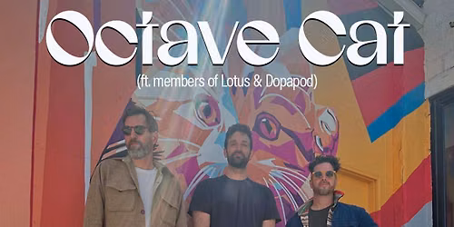 Octave Cat