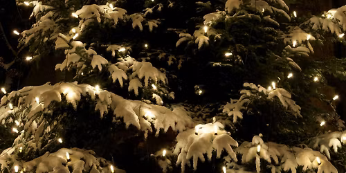 Julegrantenning på Stokke Senter ⭐️🎄⭐️🎄