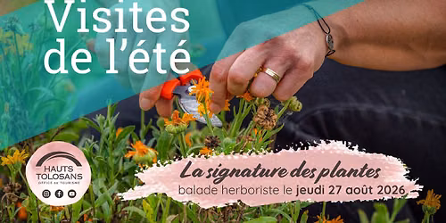 Les arbres herboristes \ud83c\udf33 - Les Visites de l'\u00e9t\u00e9 en Hauts Tolosans