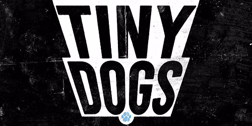TINY DOGS 2026 | The Rescue Hotel charity fundraiser