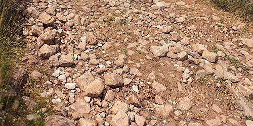 MIAS level 1 & 2 training and assessment. Thurs 26th and Fri 27th Feb 2026