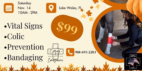 Fundamentals of Equine First Aid