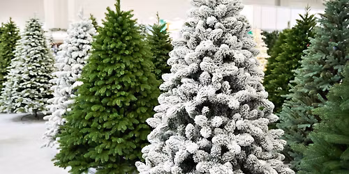 Black Friday Artificial Christmas Tree Sale At The Gio Fund