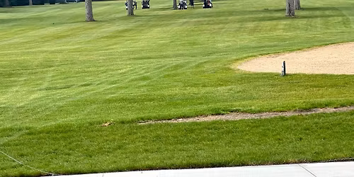 13th Annual Golf Outing