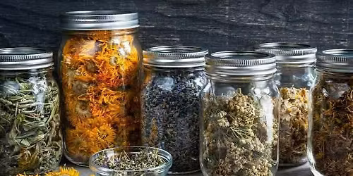 Adelaide Witch School - Herbal Magick Workshop