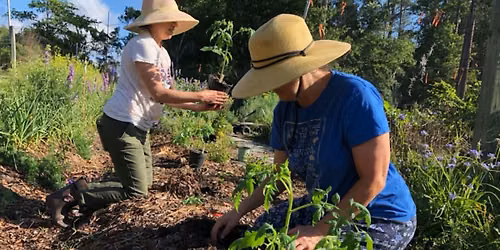 Planning a Fall Vegetable Garden