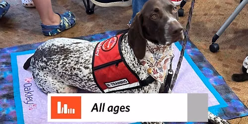Paws to Read with Go Team Therapy Dogs