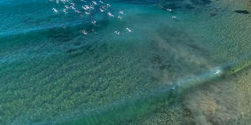 Ice Cold Classic 2026 | SAVE THE DATE