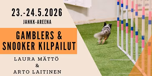 Agilitykilpailut - JANKK Kev\u00e4tpelit'26