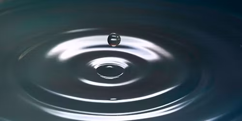 Mindfulness Workshop with Chris