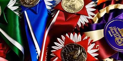 NPS Area 28 Summer Show 2026