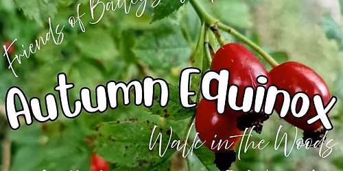 Autumn Equinox Walk in the Woods