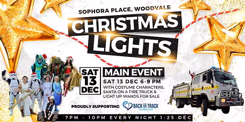 Sophora Place Christmas Lights: Main Event Night
