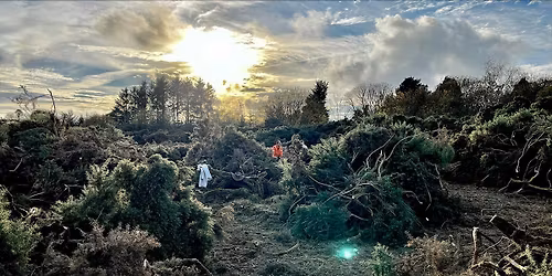 Save Our SSSI - Wetland Conservation at Scotstown Moor