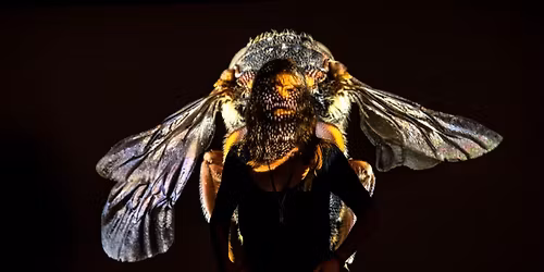 Artist Talk with Zanny Begg