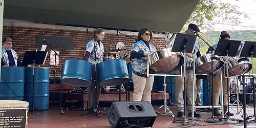Flagship Steel Band performs at Festival of Trees