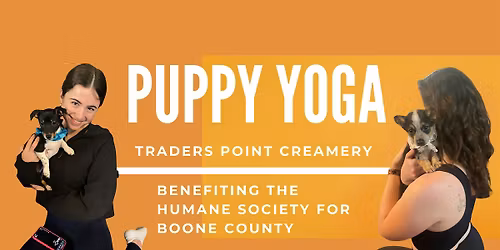 Puppy Yoga at Traders Point Creamery - Downward Dog & Adoptable Puppies