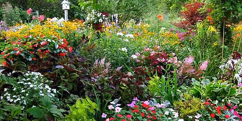 26th Annual Mills County Master Gardener PLANT SALE!