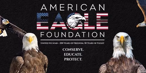 \ud83c\uddfa\ud83c\uddf8\ud83e\udd85 American Eagle Day \ud83e\udd85 \ud83c\uddfa\ud83c\uddf8 