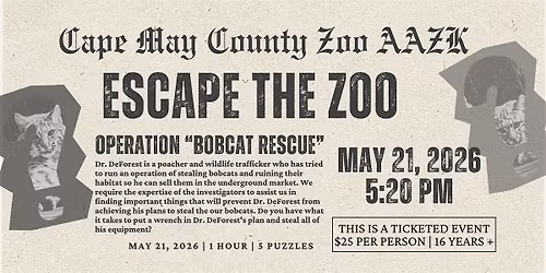 Escape the Zoo: Operation Bobcat Rescue