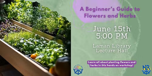 From Planter To Plate: A Beginners Guide To Flowers And Herb (Registration Required)