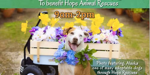 Annual Plant Sale at SoCal Soul