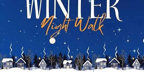 Winter Night Walk