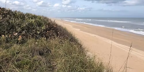 Beach Cleanup (Apollo District)