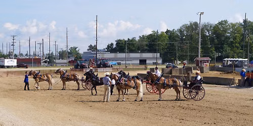 Draft Horse and Pony Hitch Show