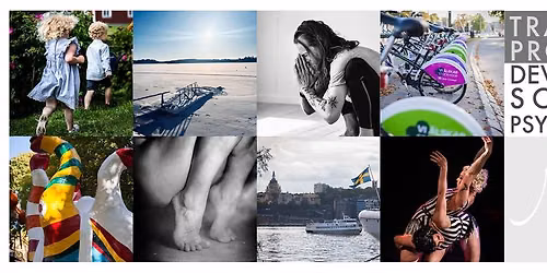 Training program in Developmental Somatic Psychotherapy\u2122, March 2027 \u2013 March 2028, Stockholm, Sweden