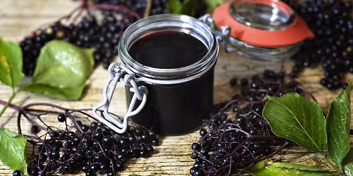 Understanding Elderberry Syrup (In-person)