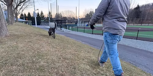 8 Week Tracking & Scent Detection Class