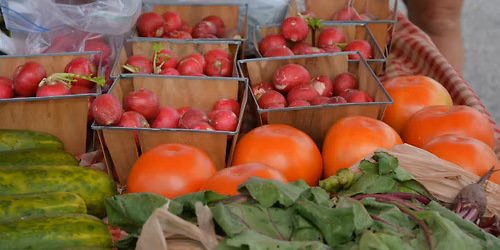 Plainfield Farmers Market 