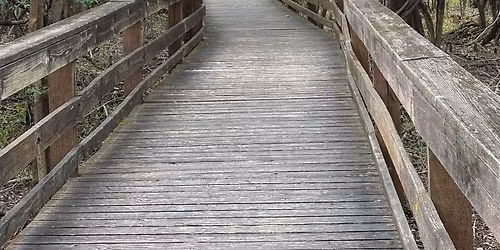 Women of the Elements- a Remembering