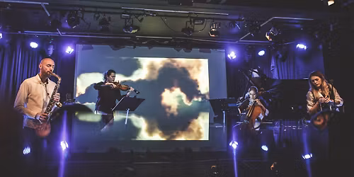 Alpaca Ensemble - THE SKY OPENS TWICE