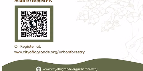Tree ID Walk