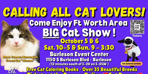 Cats at Wagon Wheel Center for the Arts