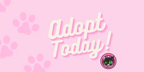 27th June Cat-CHING Fundraising Event