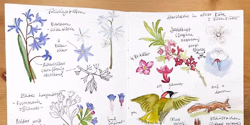 Creative Nature Journaling | Registration Required on SAC Website