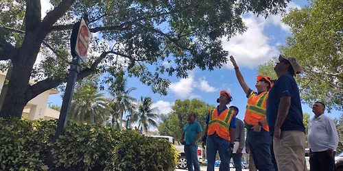 BASIC Tree Trimmer Certification - SPANISH