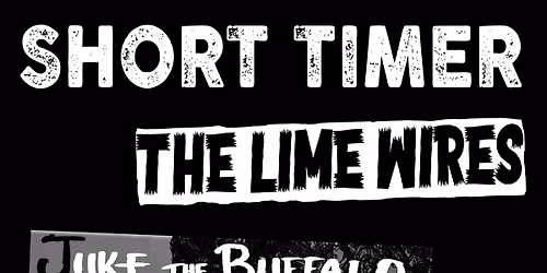 SHORT TIMER, The Lime Wires, Juke the Buffalo Live at BRIX in Mason City, IA.