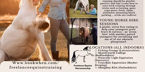 NLE Clinic Daventry. Obstacles, Young Horse, Trick Training and Private sessions 