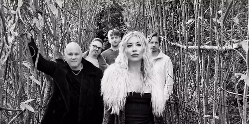 GIG @ THE FIDDLERS ELBOW -CAMDEN