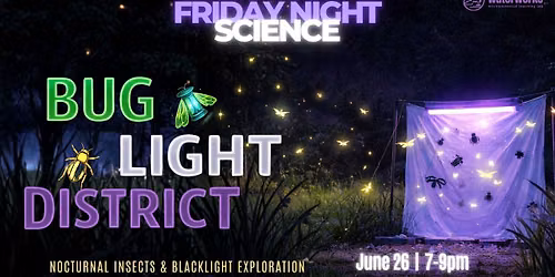 Friday Night Science - BUG LIGHT DISTRICT