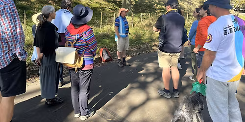 Guided Walk: Volcanoes