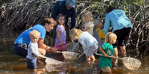 Little Wonders: Ages 2-5 