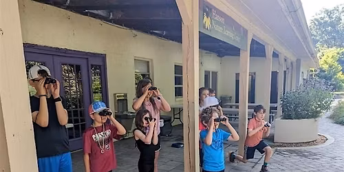 Winged Wednesdays, Spring 2026