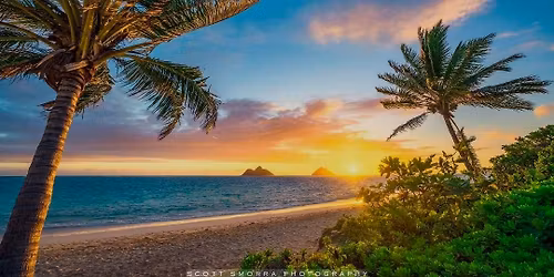 Respite Care for QBN Annual High Tea Yvonne Cuschieri House