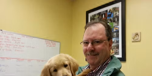 Ligue Nationale D'improvisation: Greens vs. Yellows