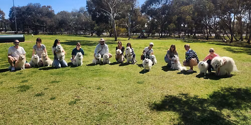 \ud83c\udf84Christmas Meet-Up\ud83c\udf84